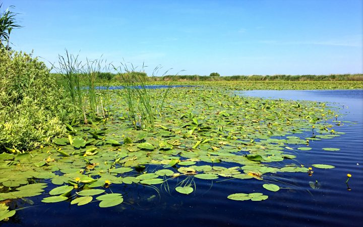 Delta Dunarii, Romania