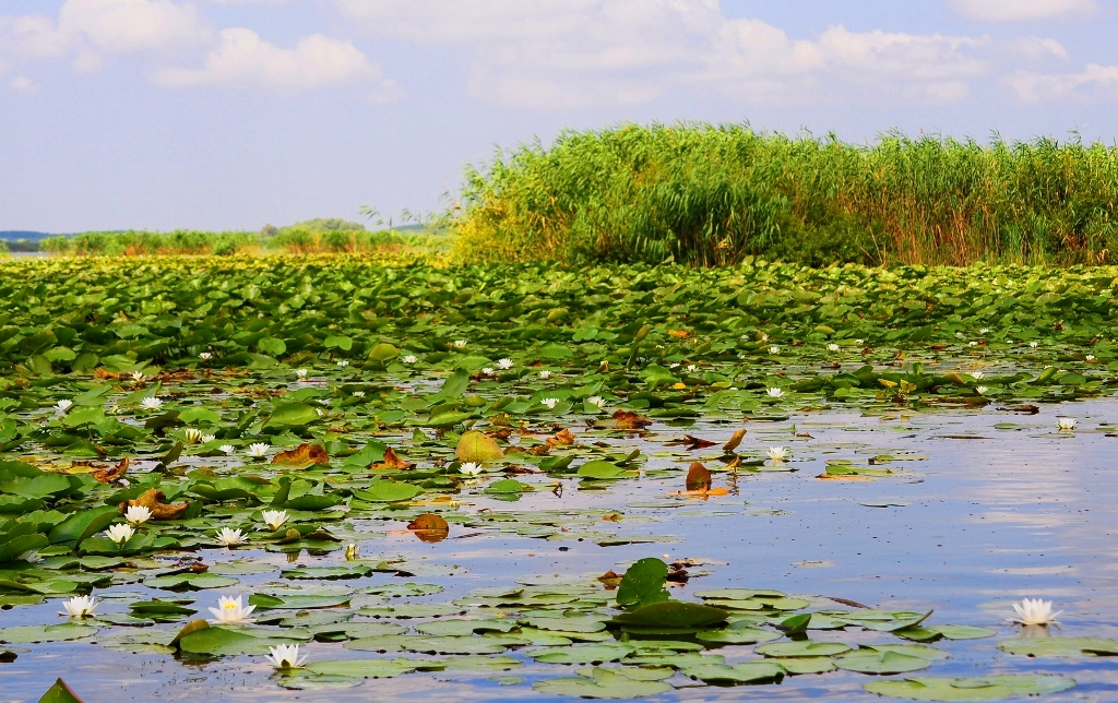 România, Delta Dunării