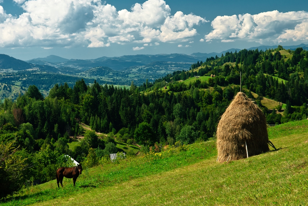 Romania - Maramures