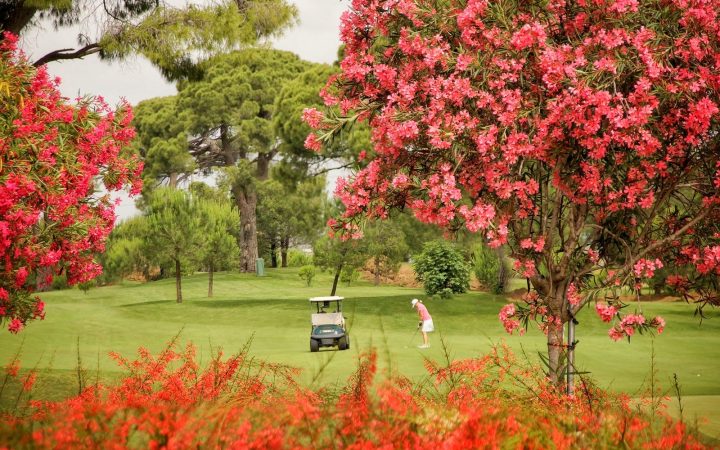 Belek