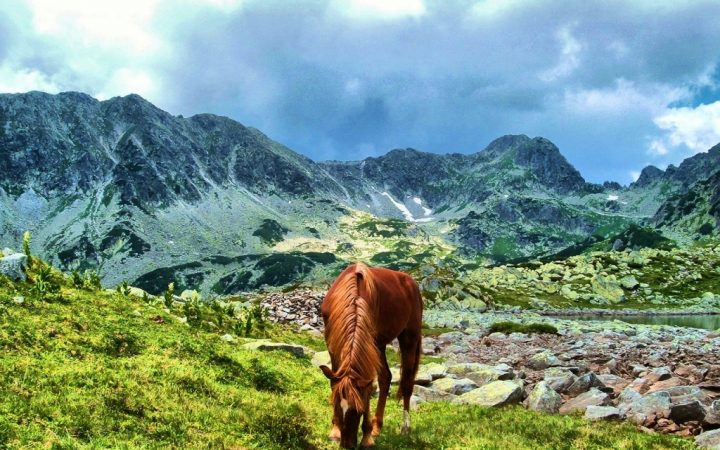 Cele mai spectaculoase Parcuri Naționale dedicate iubitorilor de natură. Parcul Național Retezat, România