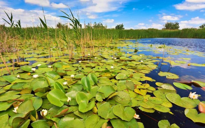 Delta Dunarii, pe plajă la Sfântu Gheorghe