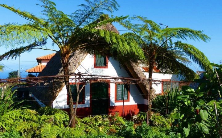 Madeira cea exotică. Insula Grădină a Europei