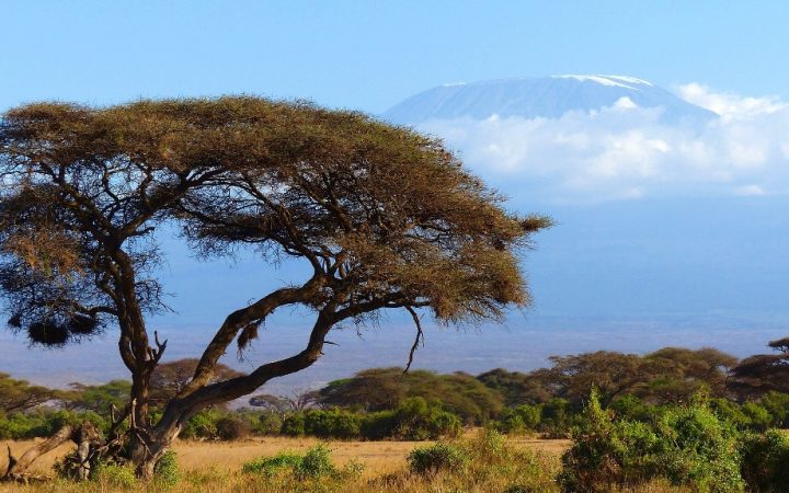 10 călătorii de legendă. Safari în Kenya – experimentează The Big Five!