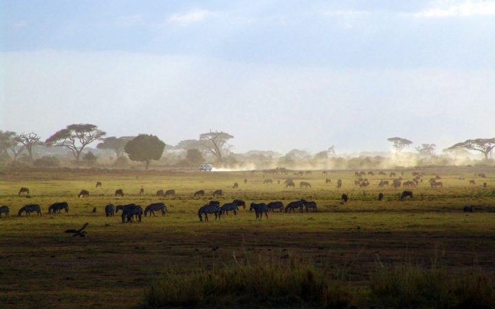 10 călătorii de legendă. Safari în Kenya – experimentează The Big Five!