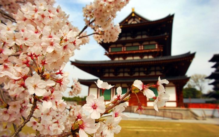 10 călătorii de legendă. Ia parte la Festivalul Sakura – Japonia