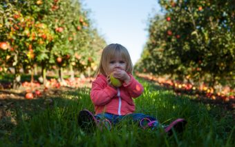 cum convingi copilul să mănânce fructe și legume