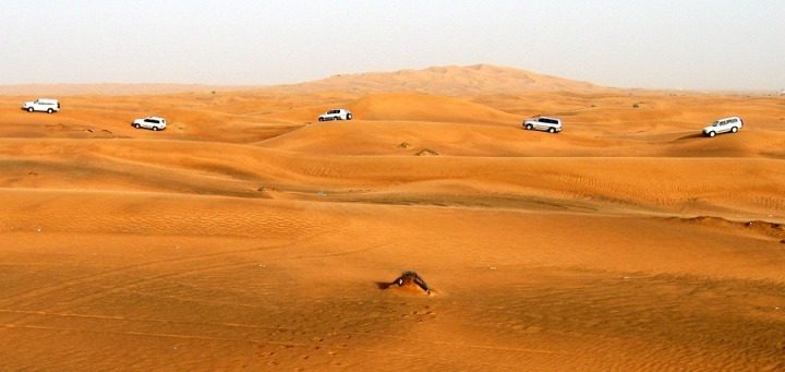 Dubai - safari