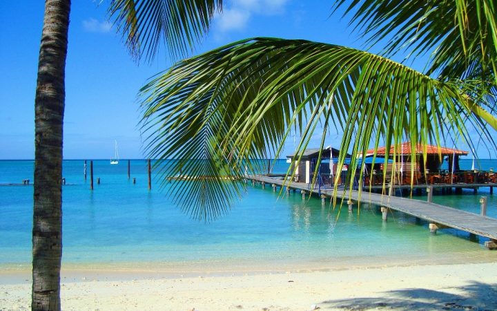 Decembrie exotic. La plajă alături de păsările flamingo în Aruba