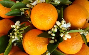 Beneficiile portocalei. 11 utilizări și beneficii ale portocalei