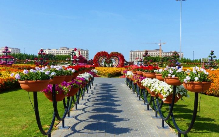 Miracle Garden din Dubai