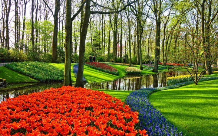 Mărțisor de primăvară în Amsterdam
