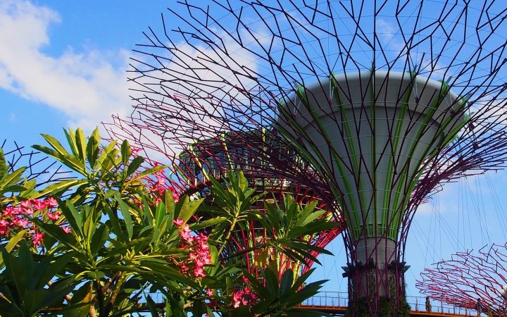 Cele mai frumoase grădini botanice din lume: Singapore