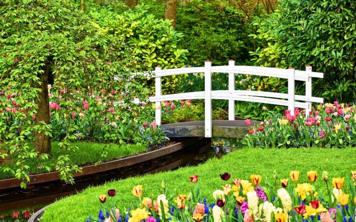 ”Flower Power” în Grădina Keukenhof