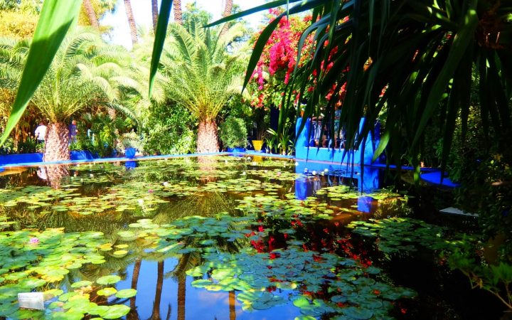 Gradina Majorelle din Marrakech