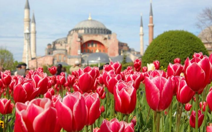 Festivalul Lalelelor în Istanbul