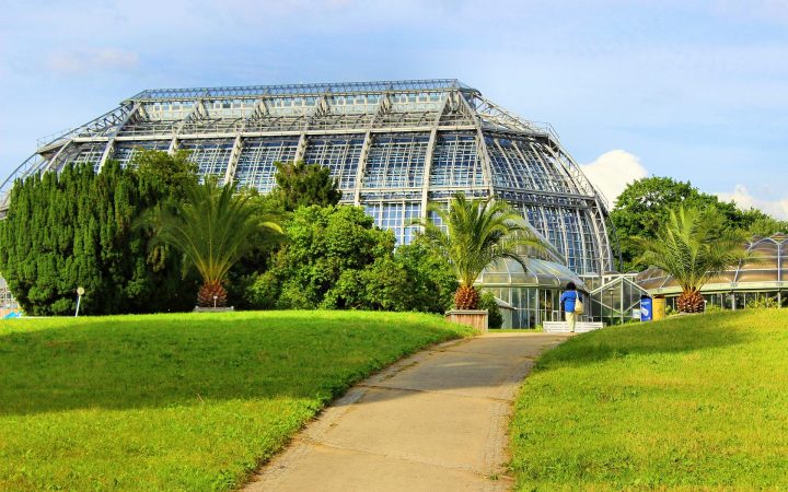 Grădina Botanică din Berlin