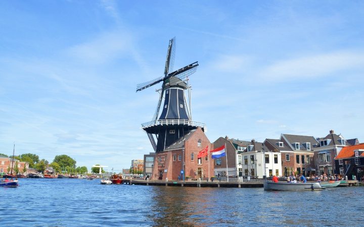 Orașul Florilor, Haarlem