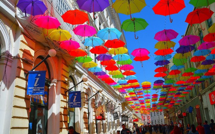 Mărțisor de primăvară în Timișoara