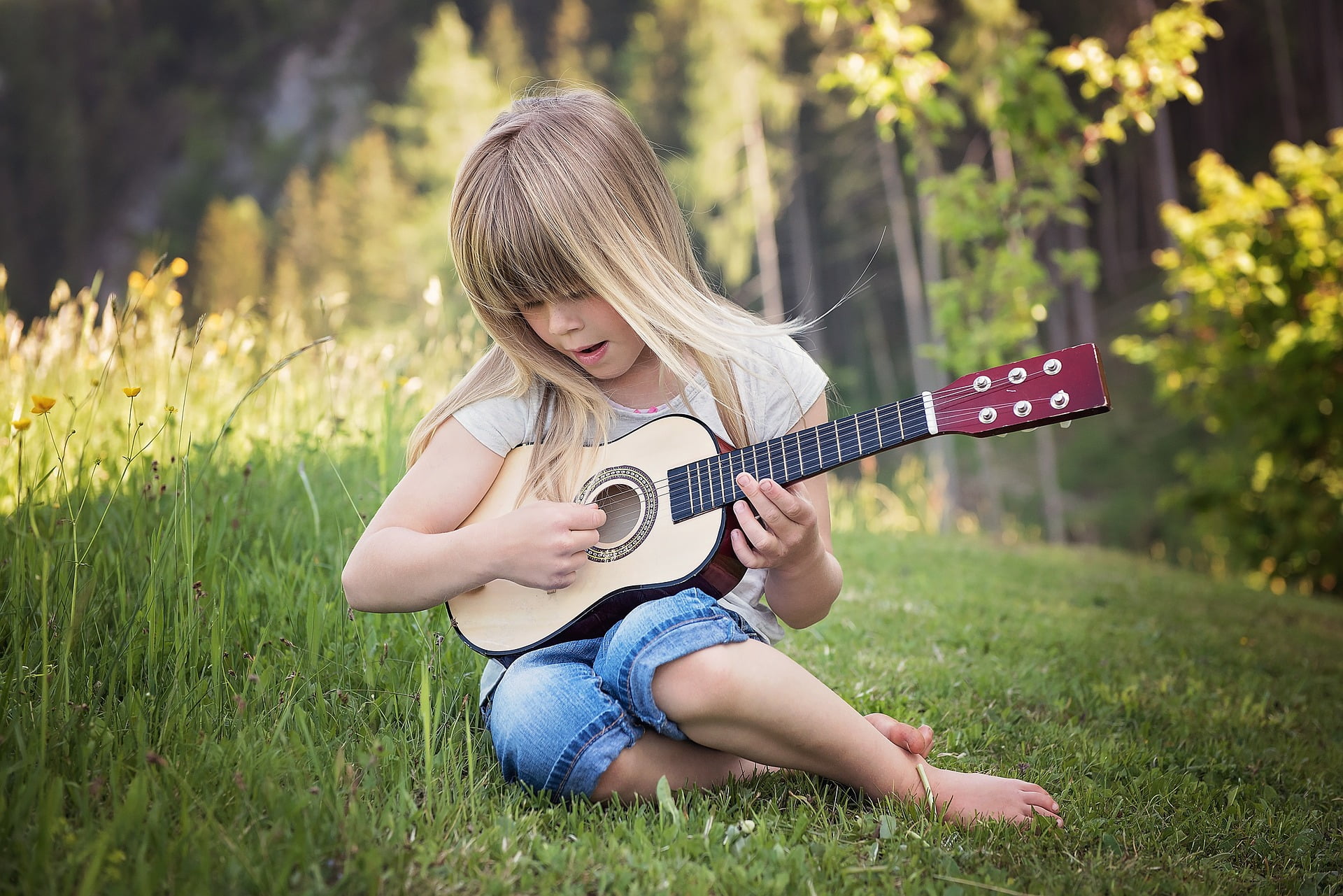 Beneficiile muzicii în dezvoltarea copiilor. Muzica și dezvoltarea abilităților
