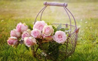 Tratamente naturiste cu trandafiri. Și frumoși și sănătoși