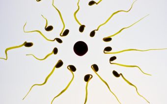 La cât timp după naștere apare ovulația. Care sunt semnele?