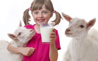 Beneficiul consumului de lapte de capră pentru sănătate