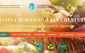 Toamna Horticolă Bucureșteană – Ziua Recoltei. Veniți să gustați peste 150 de soiuri și hibrizi de f...