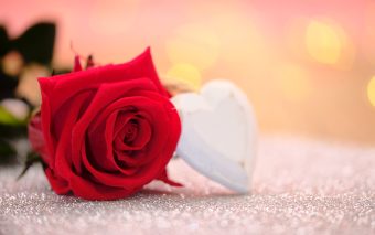 7 februarie - Ziua Trandafirilor! Ce semnificație are și cum o puteți sărbători?