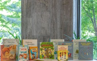 Literatura europeană, resursă împotriva bullyingului în școli.