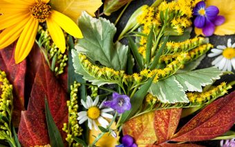 Toamna – 10 motive să o îndrăgești din plin