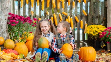 Vacanța de toamnă – o gură de aer pentru copii și părinți