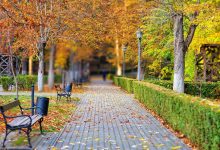 Iarna poate fi mai blândă: Alege un sejur la Băile Govora pentru sănătate și echilibru!