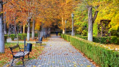 Iarna poate fi mai blândă: Alege un sejur la Băile Govora pentru sănătate și echilibru!