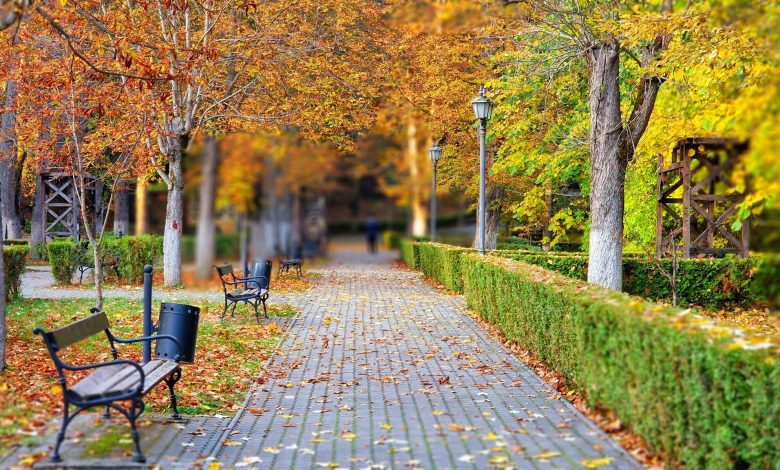 Iarna poate fi mai blândă: Alege un sejur la Băile Govora pentru sănătate și echilibru!