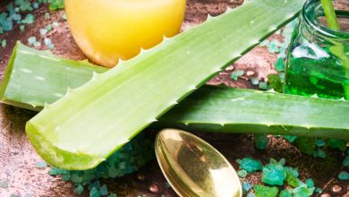 3 măști de păr pentru toamnă: remedii DIY împotriva scalpului gras