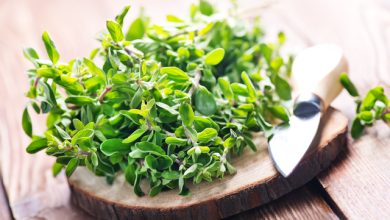 10 beneficii incredibile ale măghiranului: un aliat pentru sănătate și stare de bine