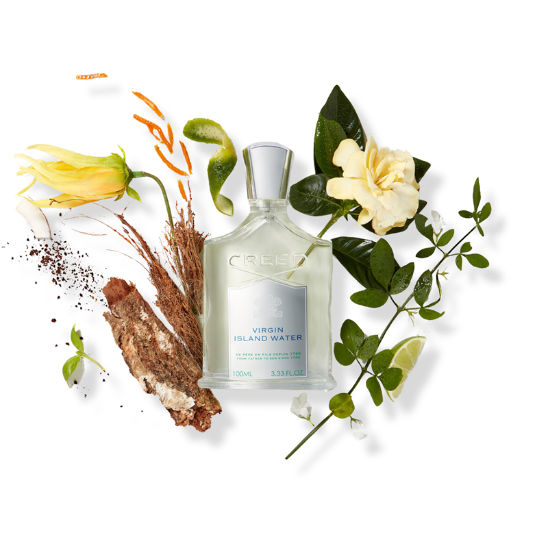 Cu capul în nori: parfumuri care se simt ușoare