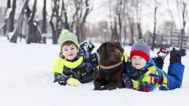 Ieși afară iarna cu copiii! 4 motive să ieși cu copiii în natură chiar și iarna