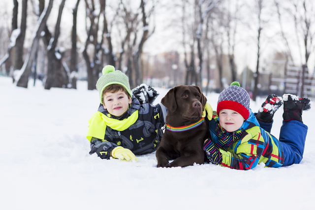 Ieși afară iarna cu copiii! 4 motive să ieși cu copiii în natură chiar și iarna