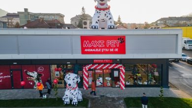 Maxi Pet reduce prețurile la până la 1000 de produse pentru animale de companie și face îngrijirea zilnică mai accesibilă pentru familiile din România
