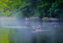 Reset de primăvară: pași esențiali pentru o stare de bine completă