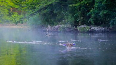 Reset de primăvară: pași esențiali pentru o stare de bine completă