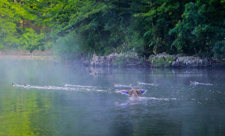 Reset de primăvară: pași esențiali pentru o stare de bine completă