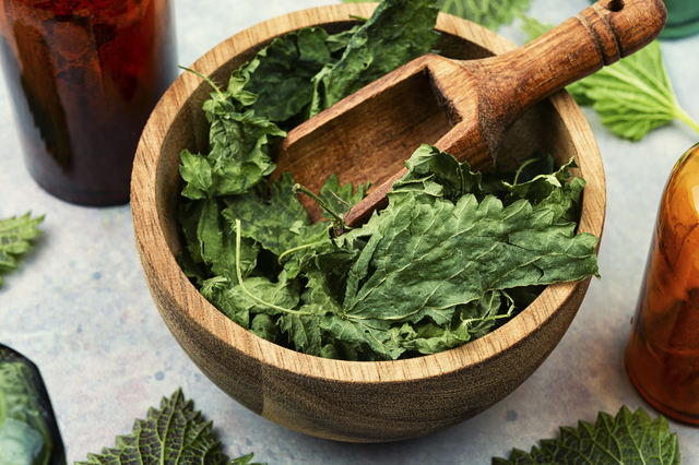 Urzici pentru frumusețe: remediul natural care redă vitalitatea pielii