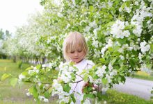 Alergii: de ce s-a prelungit sezonul de polen și ce factori îl influențează