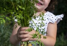 Vitamine pentru copii: când sunt necesare suplimentele și când este suficientă alimentația?