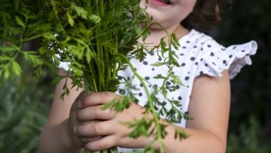 Vitamine pentru copii: când sunt necesare suplimentele și când este suficientă alimentația?