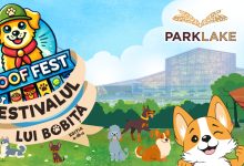 ParkLake aduce comunitatea iubitorilor de animale împreună la WOOF Fest | Festivalul lui Bobiță