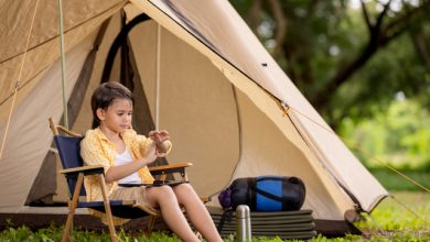 Ce să faci împotriva mușcăturilor de țânțari: 10 remedii naturale care calmează rapid mâncărimea